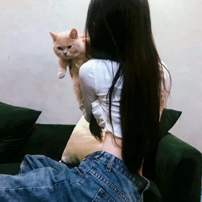 冲突